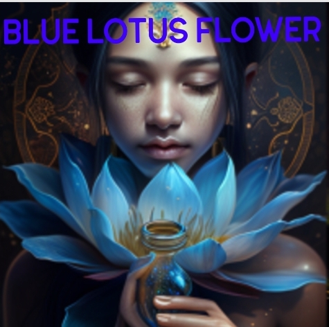 beauty of the blue lotus