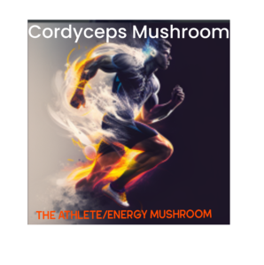 The Athlete/Energy Mushroom